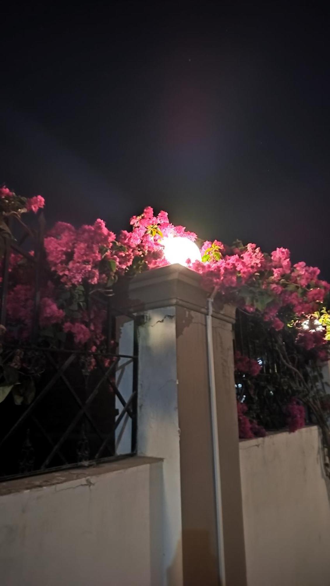 Shree Nanda Guest House Варанаси Экстерьер фото